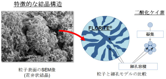FLORITEグレード表